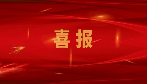 熱烈祝賀我公司通過山東省制造業單項冠軍企業復核！